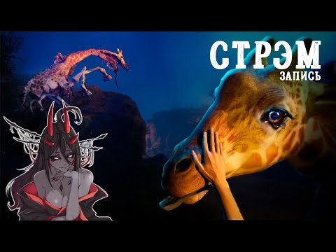 Видео: Zoochosis - Ад начинается с первого дня