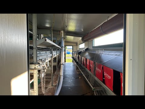 Видео: Ферма в Германии.Мобильный курятник пустой.
