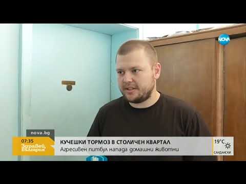 Видео: КУЧЕШКИ ТОРМОЗ: Агресивен питбул напада домашни любимци