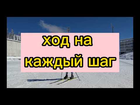 Видео: Коньковый ход на каждый шаг. Семь основных ошибок #лыжи