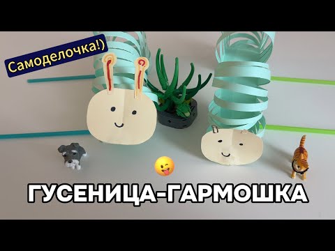 Видео: Гусеница - гармошка