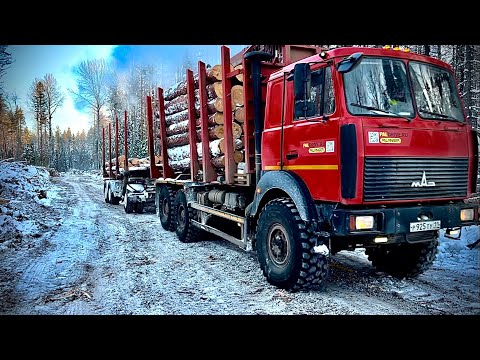 Видео: Лесовозная романтика!