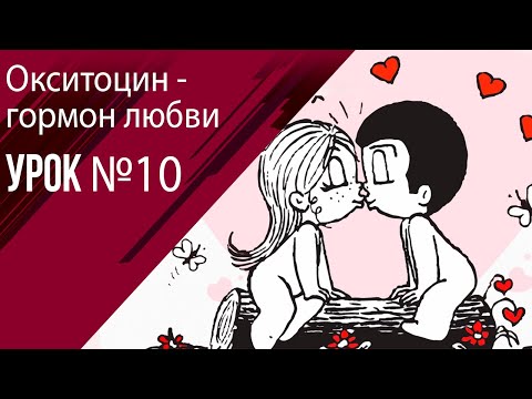 Видео: Урок 10 Окситоцин и его влияние на потенцию