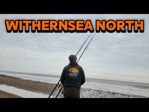 Видео: «Ловля трески в Великобритании 2025 | Пляжная рыбалка на свежие и замороженные наживки» #треска #...