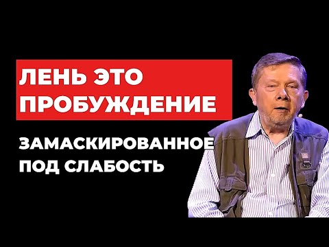 Видео: Кто прозрел- перестал торопиться. Экхарт Толле