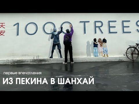 Видео: ВПЕРВЫЕ В ШАНХАЕ: как нас встретили друзья, какие впечатления и эмоции вызывает этот город
