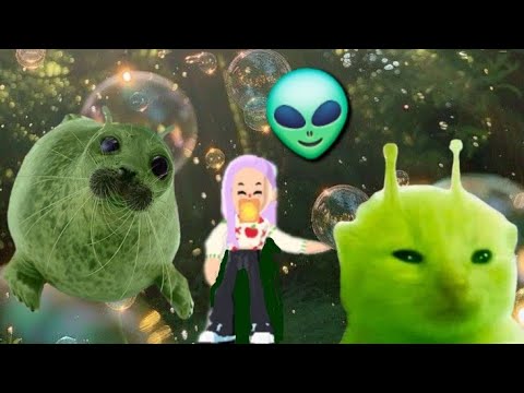 Видео: КОШКА ЛУНА 🌙 КОРМИМ ЗИП ЗИП ЗИП БЛЕ БЛЕ БЛЕ И ПРИТВОРЯЕМСЯ ИМ👽