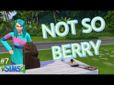 Видео: Играем по новым правилам в СИМС4 - NOT SO BERRY Sims4