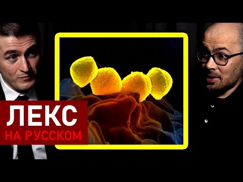 Видео: Происхождение жизни на Земле: можем ли симулировать? | Демис Хассабис и Лекс Фридман