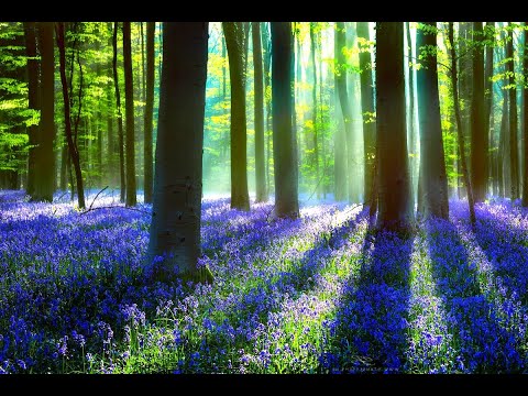 Видео: МОНЕТЫ РАЗНЫХ ВРЕМЁН