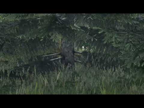 Видео: Мувик Fog of War #dayz #deerisle #dayzstandalone #дэйз #pvp #gameplay #gaming #games #игры #fogofwar