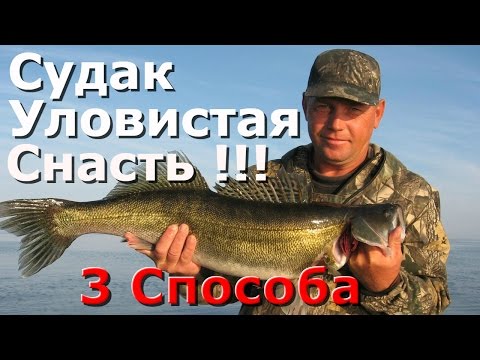 Видео: Ловля судака 3 эффективных способа ! Как поймать судака ? Отводной с воблером , воблер с чебурашкой.