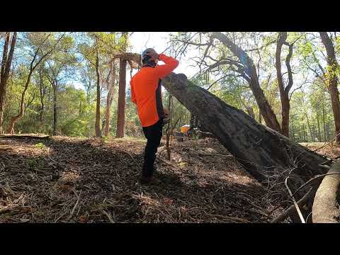 Видео: Удаление вдоводела