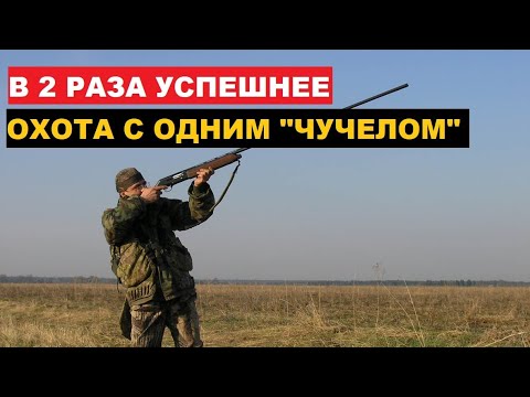 Видео: 💥 КАК Я УСПЕШНО ДОБЫЛ ГУСЯ?  ХИТРОСТИ И НАБЛЮДЕНИЯ.
