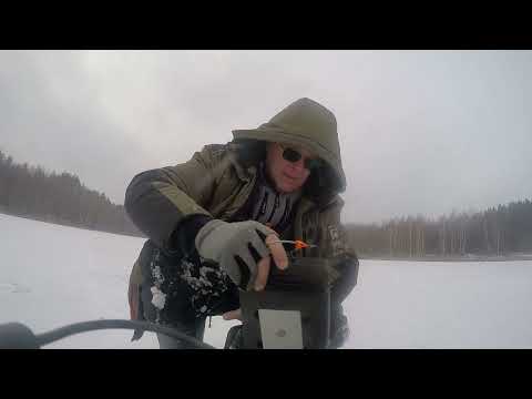 Видео: Окунь на Балду