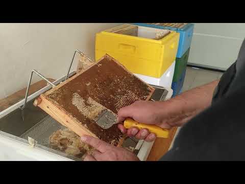 Видео: обзор медогонки