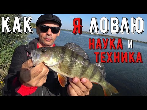 Видео: Рыбалка на микроджиг/моя техника ловли/окуни,судаки