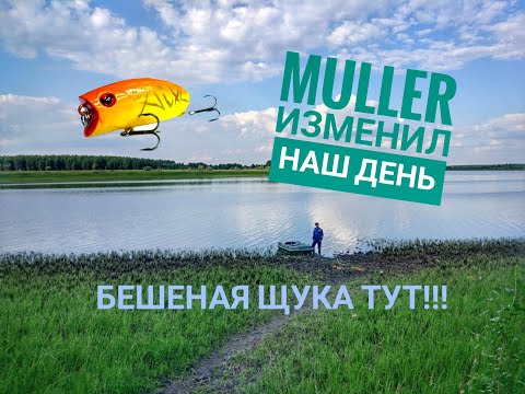 Видео: ТОП рыбалка на хищника, на красивом озере Омской области, Усть-Ишимский район.