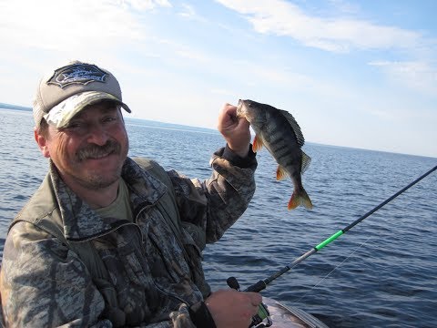Видео: RockFish испытания на Онежском озере.