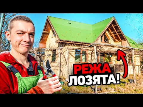 Видео: Подрязваме Старите Лози на Къщата - Живот на село еп 8