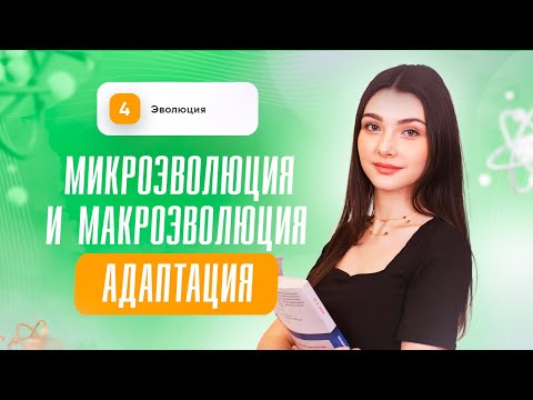 Видео: Микроэволюция и макроэволюция. Адаптация | Биология | ЕГЭ | Сторум
