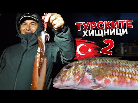 Видео: По следите на ТУРСКИТЕ ХИЩНИЦИ - 2 част