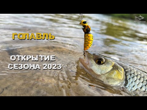 Видео: Голавль: открытие сезона 2023