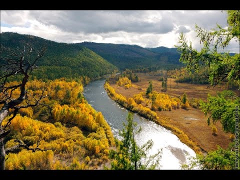 Видео: Таёжный Чикой