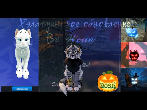 Видео: (🪶)|Хэллоуинское обновление в 𝓦𝓬𝓾𝓮 и квест с тыквами #котывоители #wcue|(🪶)