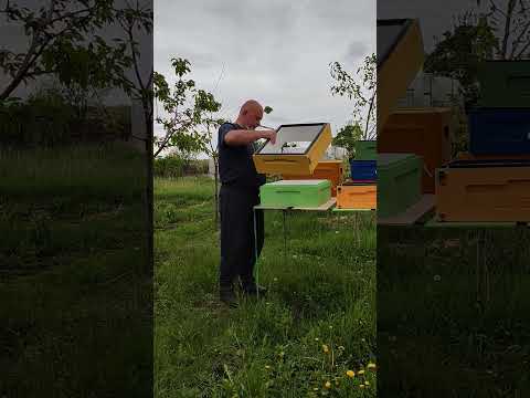 Видео: Взаимозаменяемость элементов ульев#sorts