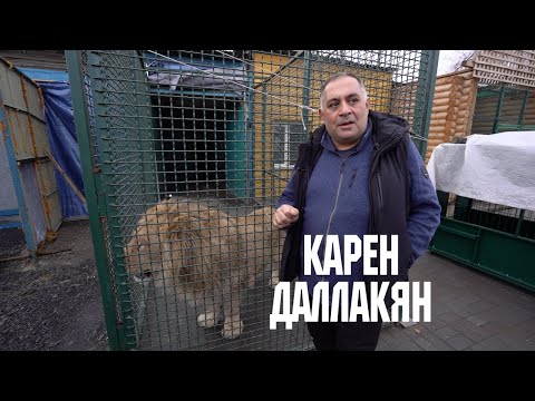 Видео: Дикие животные - Карен Даллакян и фонд зоозащиты "Спаси меня" // Дикие: Стратегия спасения