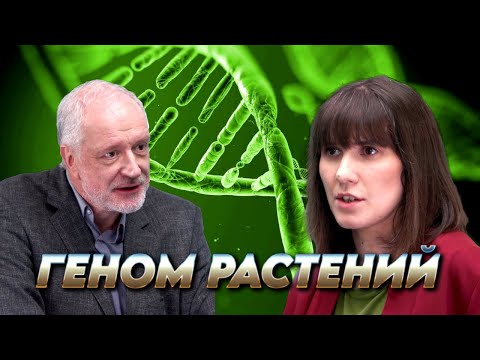 Видео: Геном растений: другие правила. Вопрос науки. Семихатов – Логачева