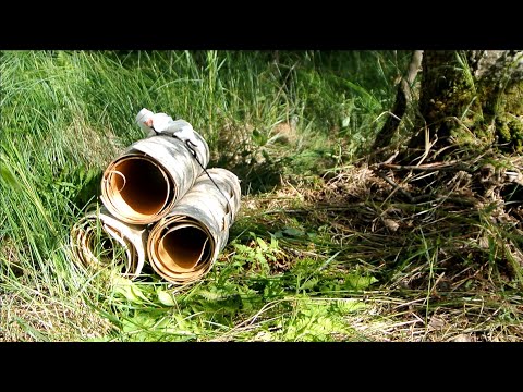 Видео: Сбор бересты Подробно Осторожно!Нудный,длинный ролик