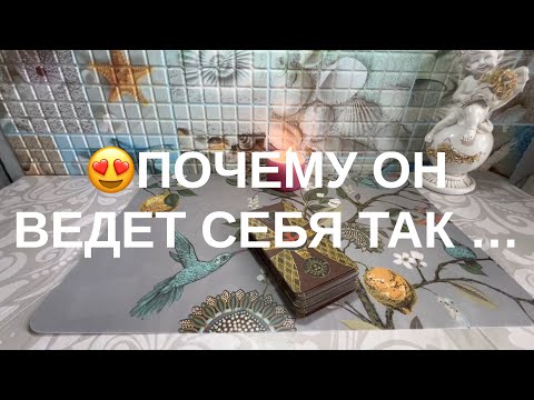 Видео: 🥲ПОЧЕМУ ОН ВЕДЕТ СЕБЯ ТАК🙏