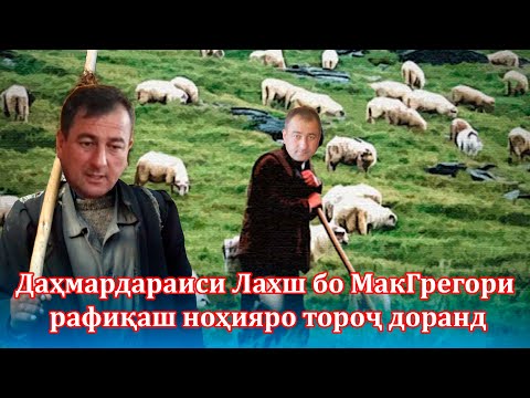 Видео: 🧰Ҷиноятҳои раиси Ҷиргатолро медонистед?