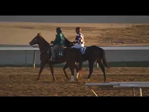 Видео: R9 ЧЕРЧИЛЛЬ-ДАУНС 12 НОЯБРЯ 2025 ГОДА