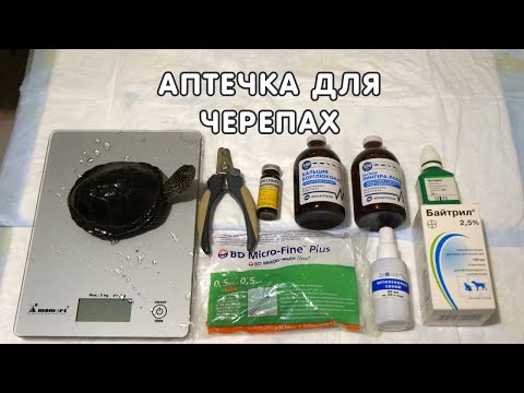 Видео: Аптечка для черепах