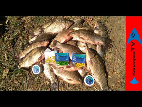 Видео: Здоровенные КАРАСИ ОДИН за ОДНИМ. Насадка которая вытащила рыбалку.