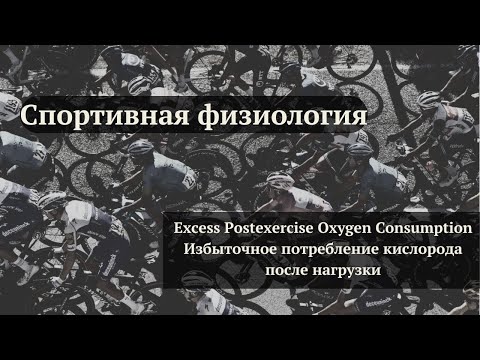 Видео: Мы худеем даже после тренировки? / Excess Post­exer­cise Oxygen ­Consump­tion - EPOC