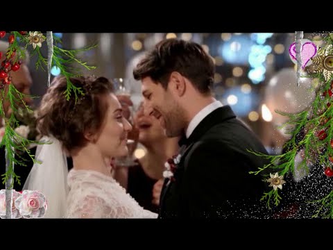 Видео: ЛЮБИМЫЕ АЛЕКСАНДР ШАПИРО ЗАМЕЧАТЕЛЬНАЯ ПЕСНЯ