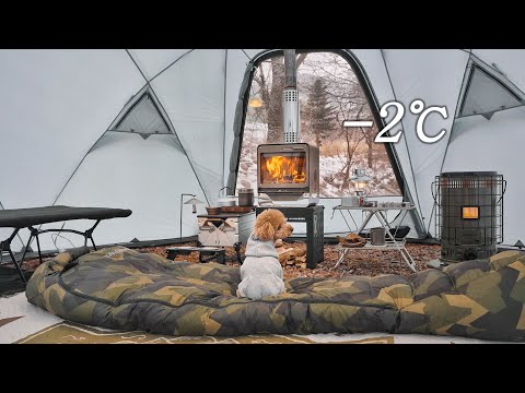 Видео: Одиночный кемпинг в снегу с моей собакой . Отдых в горячей палатке . Дровяная печь ASMR