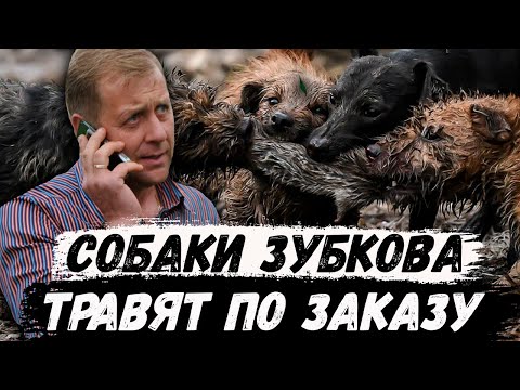 Видео: Интервью с Виталием Гнединым. Тайган. Олег Зубков