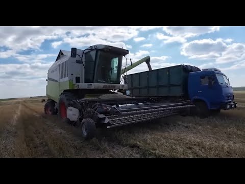 Видео: CLAAS MEGA. Уборка озимой пшеницы 2025.