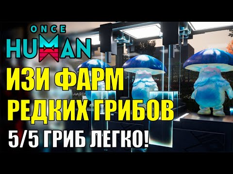 Видео: Получи РЕДКИЙ ГРИБ 5/5 - ЛЁГКОЕ получение РЕДКОГО СИНЕГО УНИКАЛЬНОГО гриба в Once Human Фермерство
