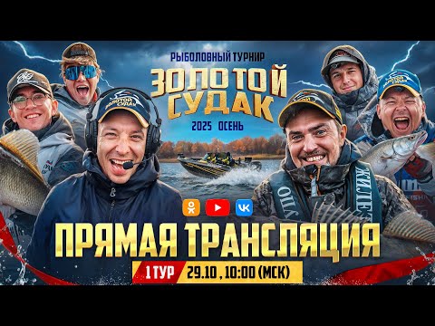 Видео: Рыболовный турнир "Золотой Судак" 2025 | Прямая трансляция | Этап ОСЕНЬ | 1 тур