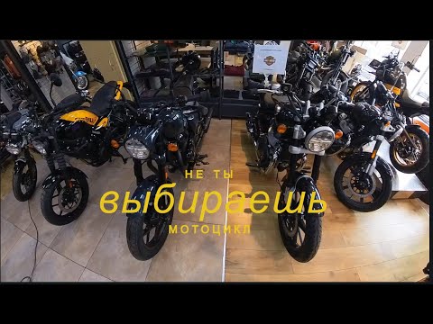 Видео: На встречу приключениям 2025. Сезон 2 Серия 1