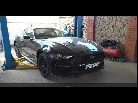 Видео: Замена переднего левого рычага на Ford Mustang 2,3 Форд Мустанг 2022 года