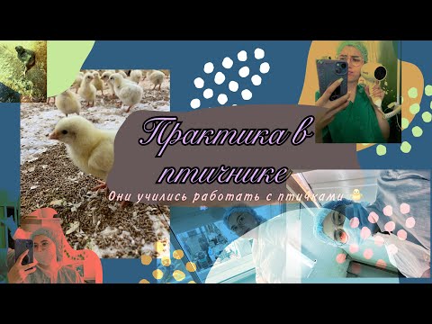 Видео: УЕХАЛИ НА ПРАКТИКУ 🐣||Месяц практики на предприятии ||