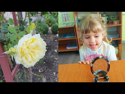 Видео: Утро многодетной семьи. Собираем детей в школу 😊🌷