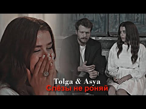 Видео: Tolga & Asya - Слёзы не роняй